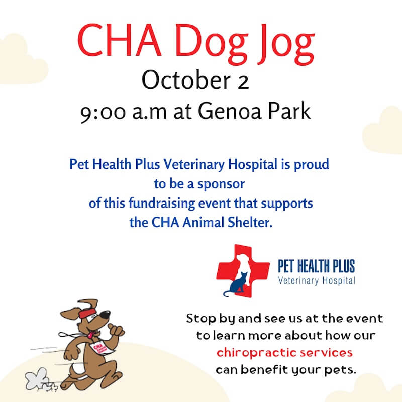 CHA Dog Jog Pet Health Plus Veterinary Hospital